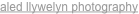 shapeimage_2_link_109
