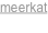 shapeimage_2_link_79